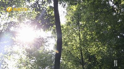 中国绿色村庄（洋畲村），不知道的以为自己误闯欧洲小镇