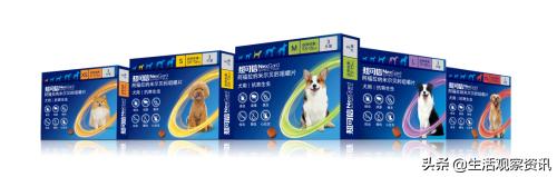 超可信、爱沃克、大宠爱测评狗狗驱虫药到底选哪个？