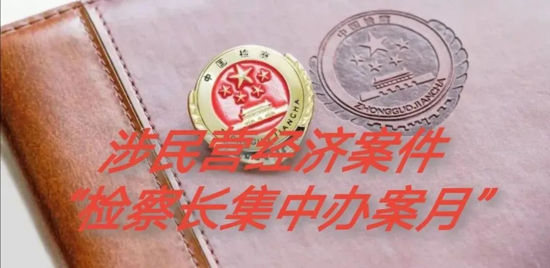 鸠江检察长,鸠江检察