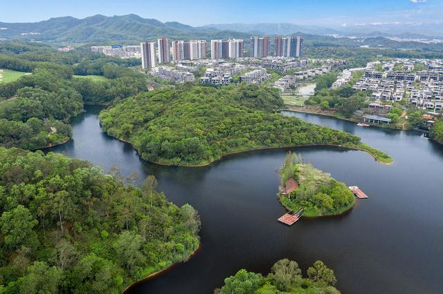 东莞塘厦高铁站位置在哪里,东莞塘厦进入高铁时代