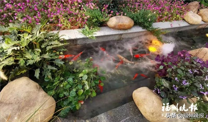 福州一附小和二附小,福州二附小怎么样