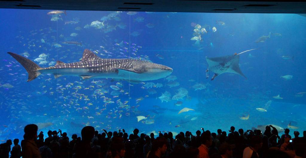 国内跟马尔代夫媲美的海岛,中国媲美马尔代夫的海岛