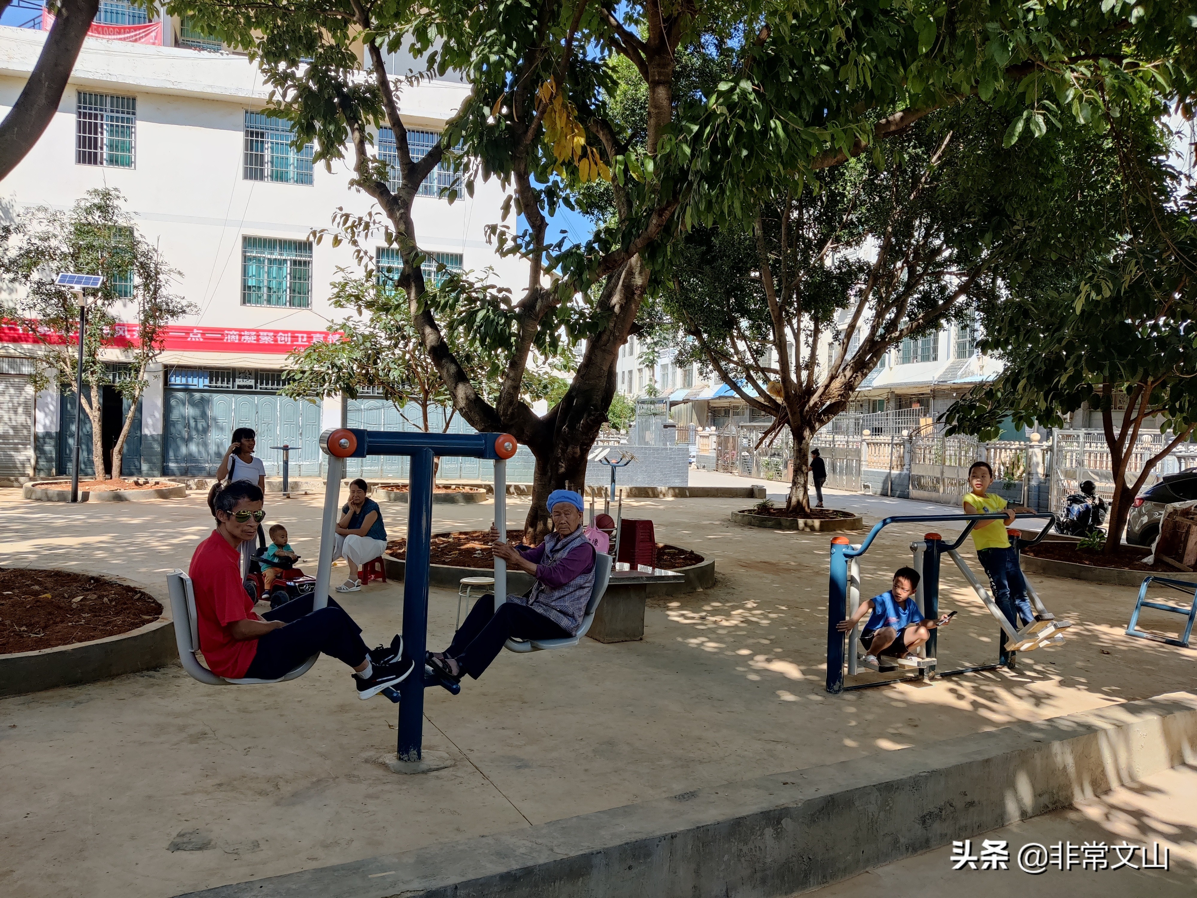 创卫创文行动,创文创卫新举措