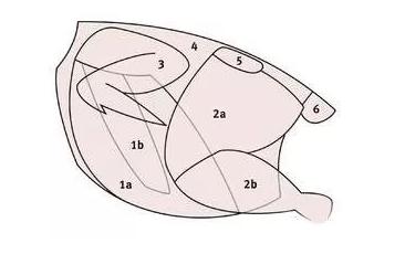 如何在德国超市选择肉制品？