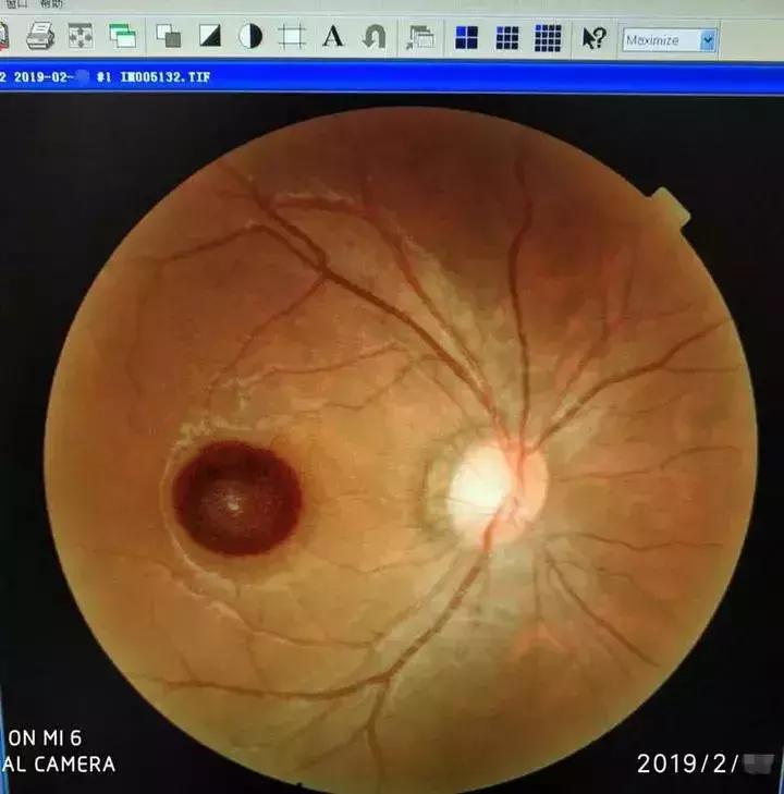 爸爸给儿子买的玩具儿子却吓哭了,爸爸给儿子买的搞笑玩具