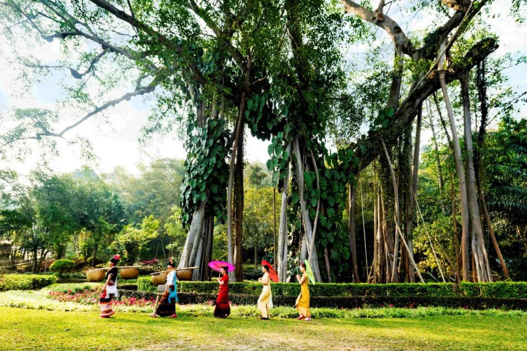 西双版纳大山里养老的地方,西双版纳养老攻略