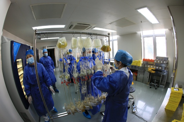 长海医院口腔门诊,上海长海体检中心攻略