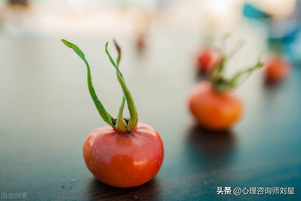 被失眠折磨的一夜,早醒多梦失眠怎么办