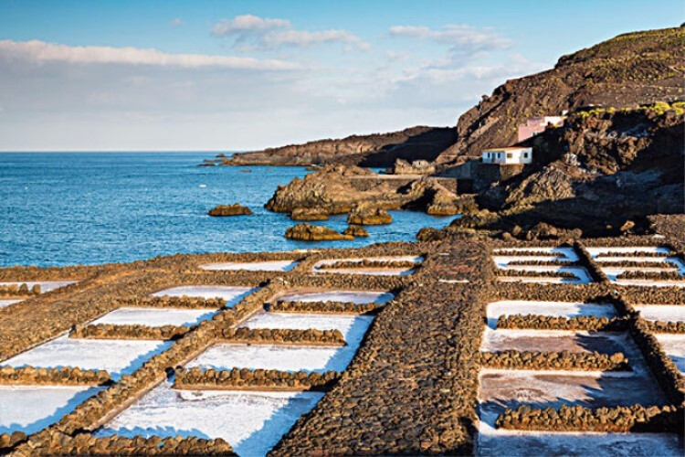 十款顶级盐,比较有特色的盐