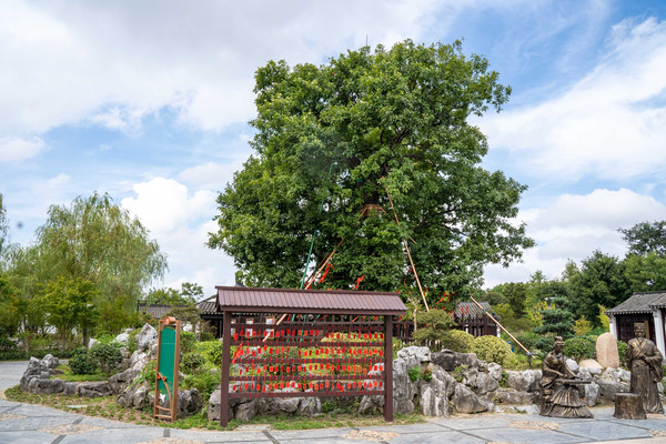 同里古镇亲子游,同里湖度假村亲子游