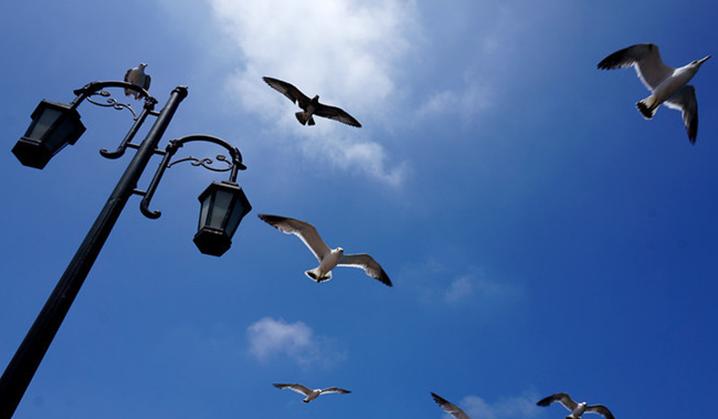 大连滨海路几月最美,大连最美季节