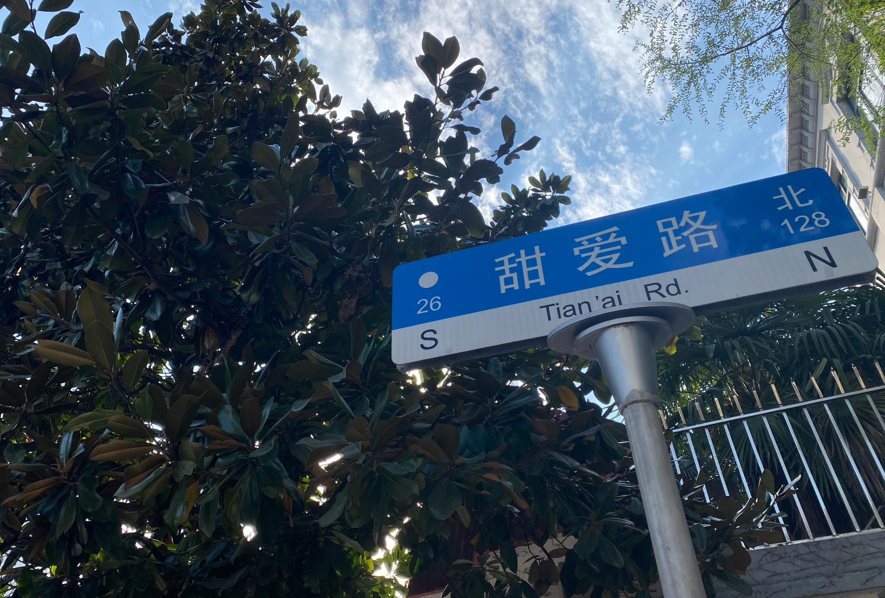 魔都哪些适合情侣打卡的约会圣地,魔都必逛约会圣地