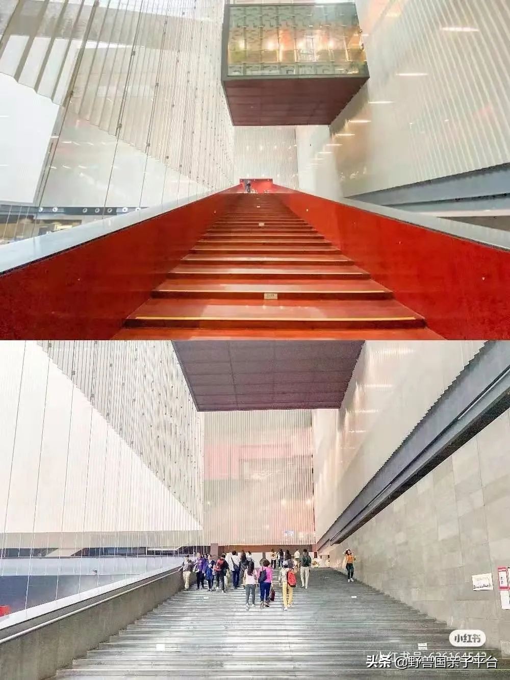 广州遛娃出游,广州遛娃3-4天攻略