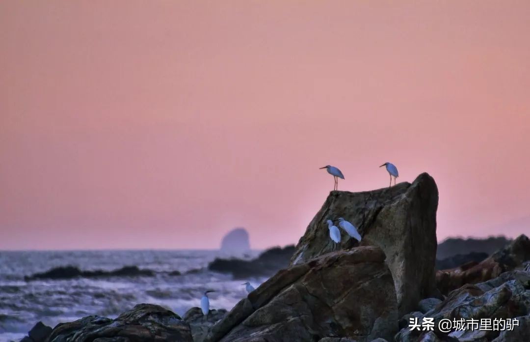 马代为什么那么贵,马代哪些岛不好