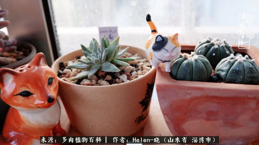 人到中年温暖如初,人到中年岁月静好