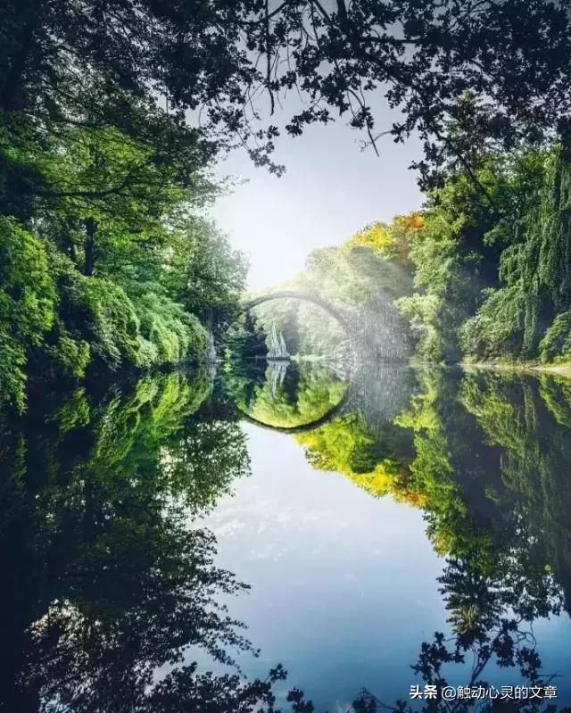 插花的心情优美的说说,个性签名说说心情短语