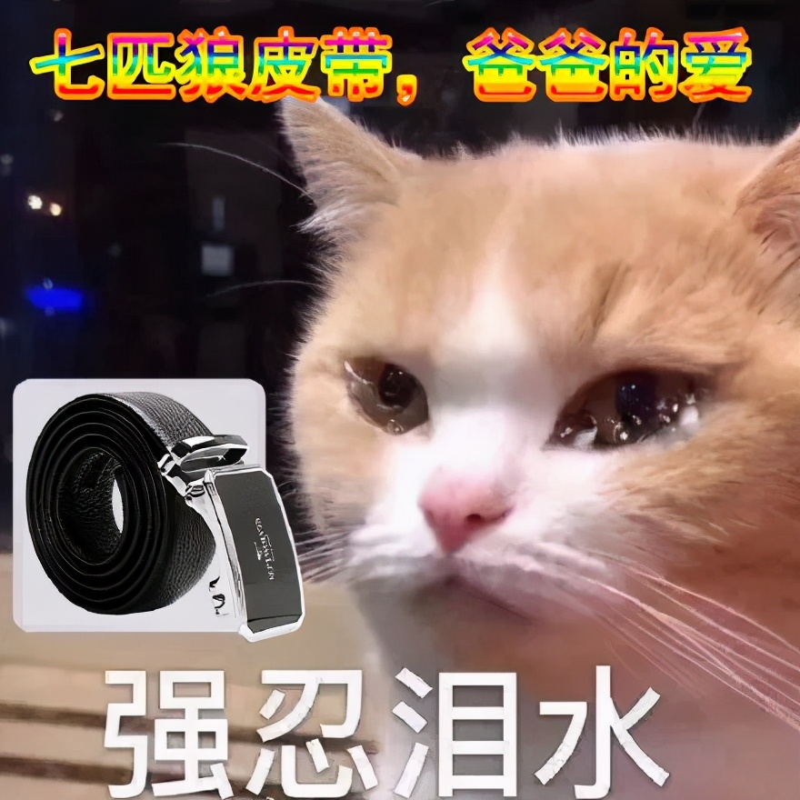 看了无数文案集,还是写不过淘宝体