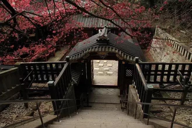 描写岁月人生感悟的诗词,人生岁月经典诗句大全