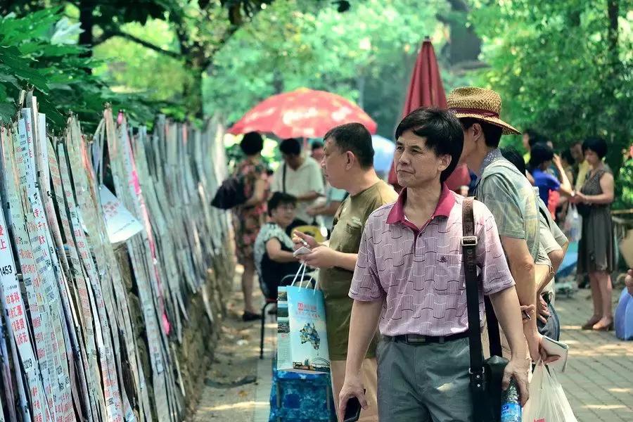 36岁海归女博士征婚,43岁的海归女博士征婚