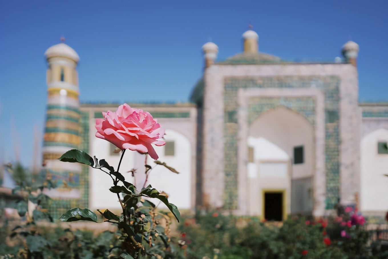 大美*疆新**，一个快递不包邮的地方，藏着不一样的异域风情