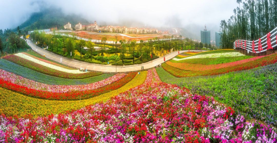 （深圳集散）厦门4天超值团$899+