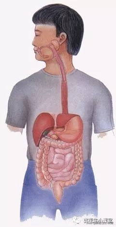 手脚发凉、月经不调、痛经，这些跟你吃凉的有关吗？