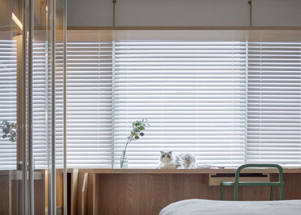 40平米一人一猫之家,一人一猫生活馆