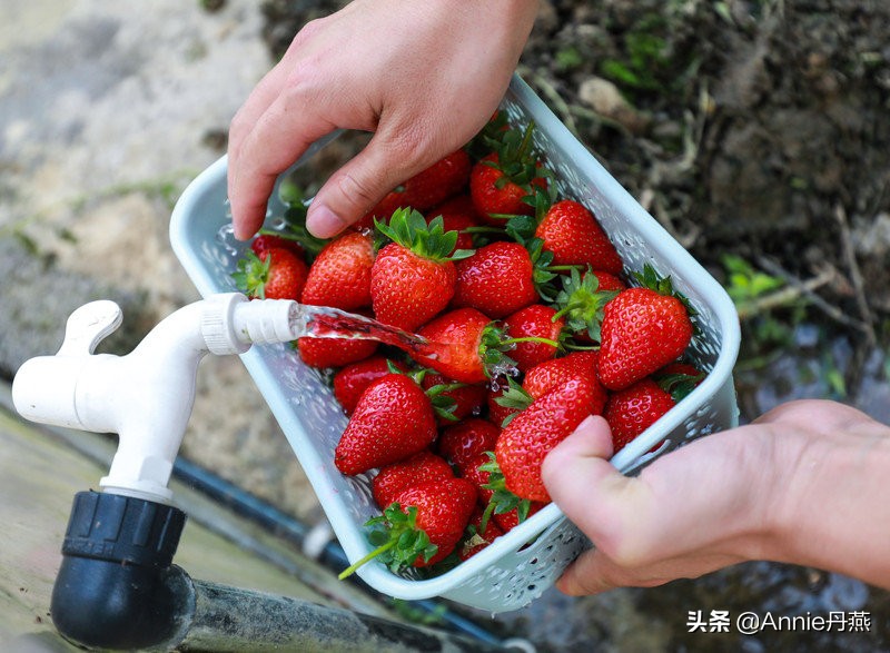 距离重庆最近的避暑城市,离主城近的夏日重庆避暑圣地