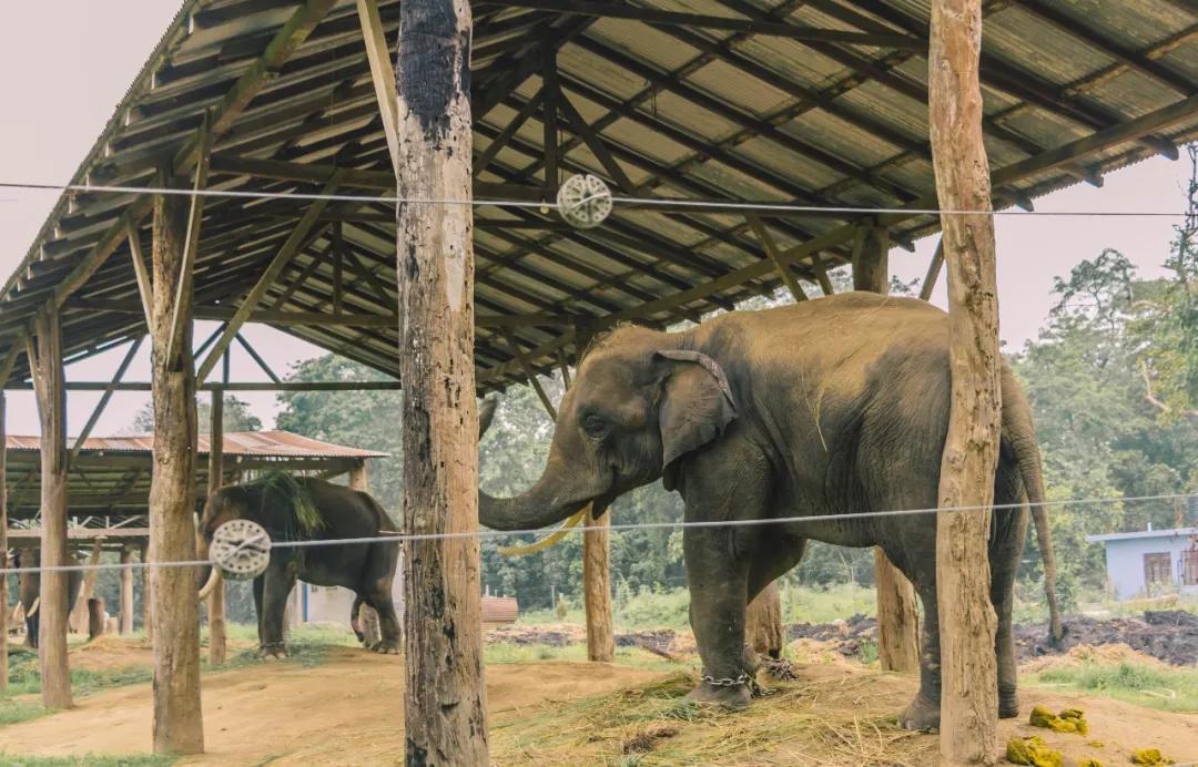 这个微笑国度,见人就夸漂亮,300元就能在天空滑翔
