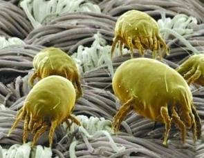 个别痘里面有白脓能挤吗,脓包型痘痘如何排出脓液