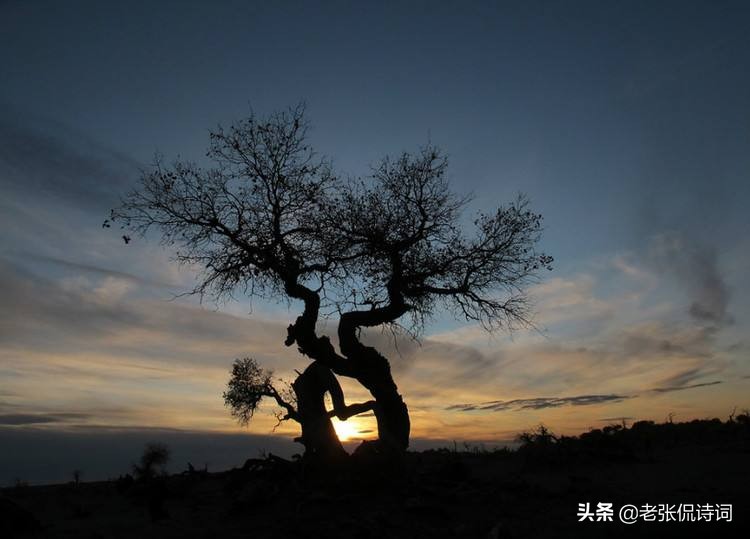 杜甫最著名的前十首诗,杜甫最有名的8首诗说尽一生