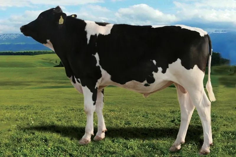 农垦产品有哪些,中国农垦集团旗下品牌