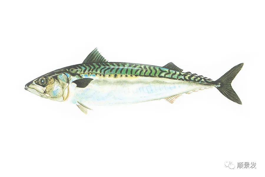 挪威和中国签订协议,挪威希望与中国加强合作