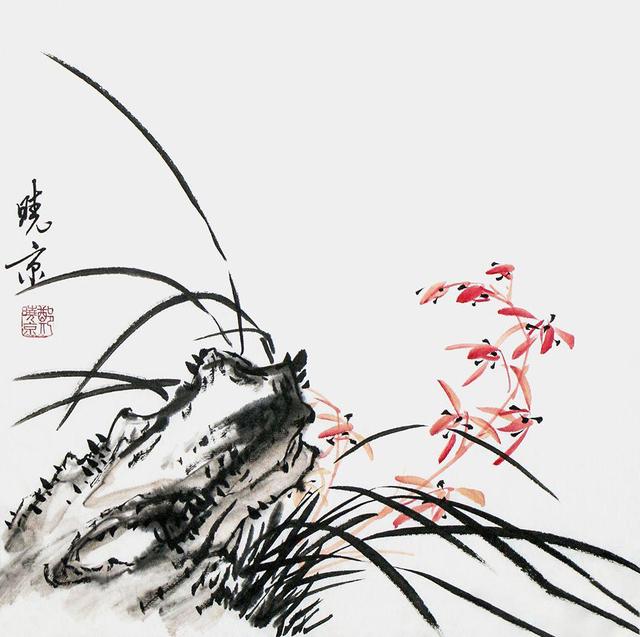 淡彩兰花100幅,顶级淡彩兰花图片