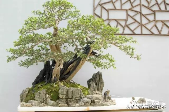 骞哥涔呬箙鐢滅敎铚滆湝,骞哥涔呬箙