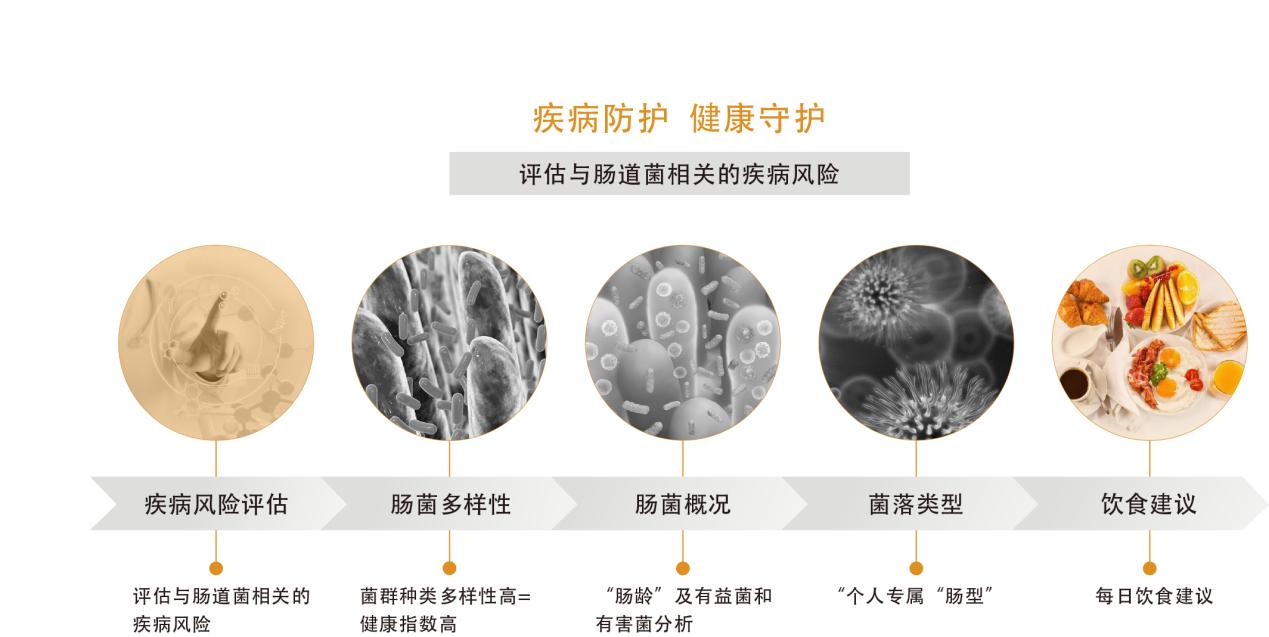 肠基因检测从哪年开始的,肠道菌群基因测试