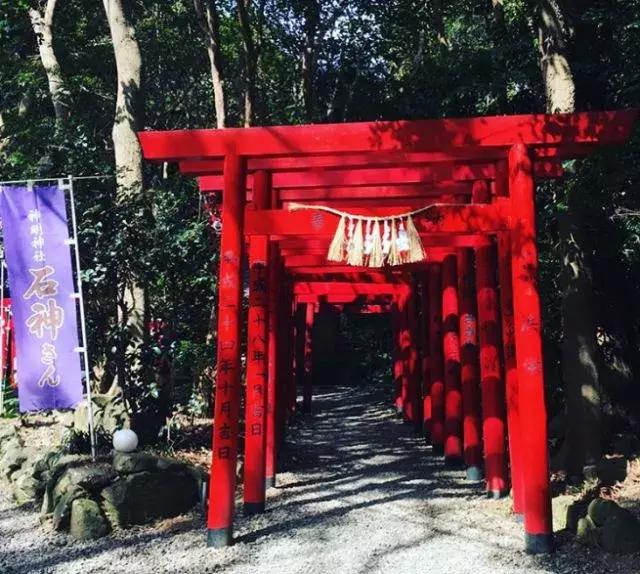 伊贺忍者故乡在哪里,伊贺忍者和织田信长