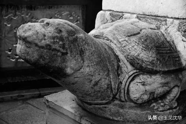 国宝系列故事“门口石狮子”是什么讲究？