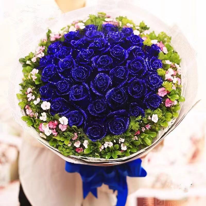 玫瑰花语大全表达爱意的,玫瑰的花语大全简短