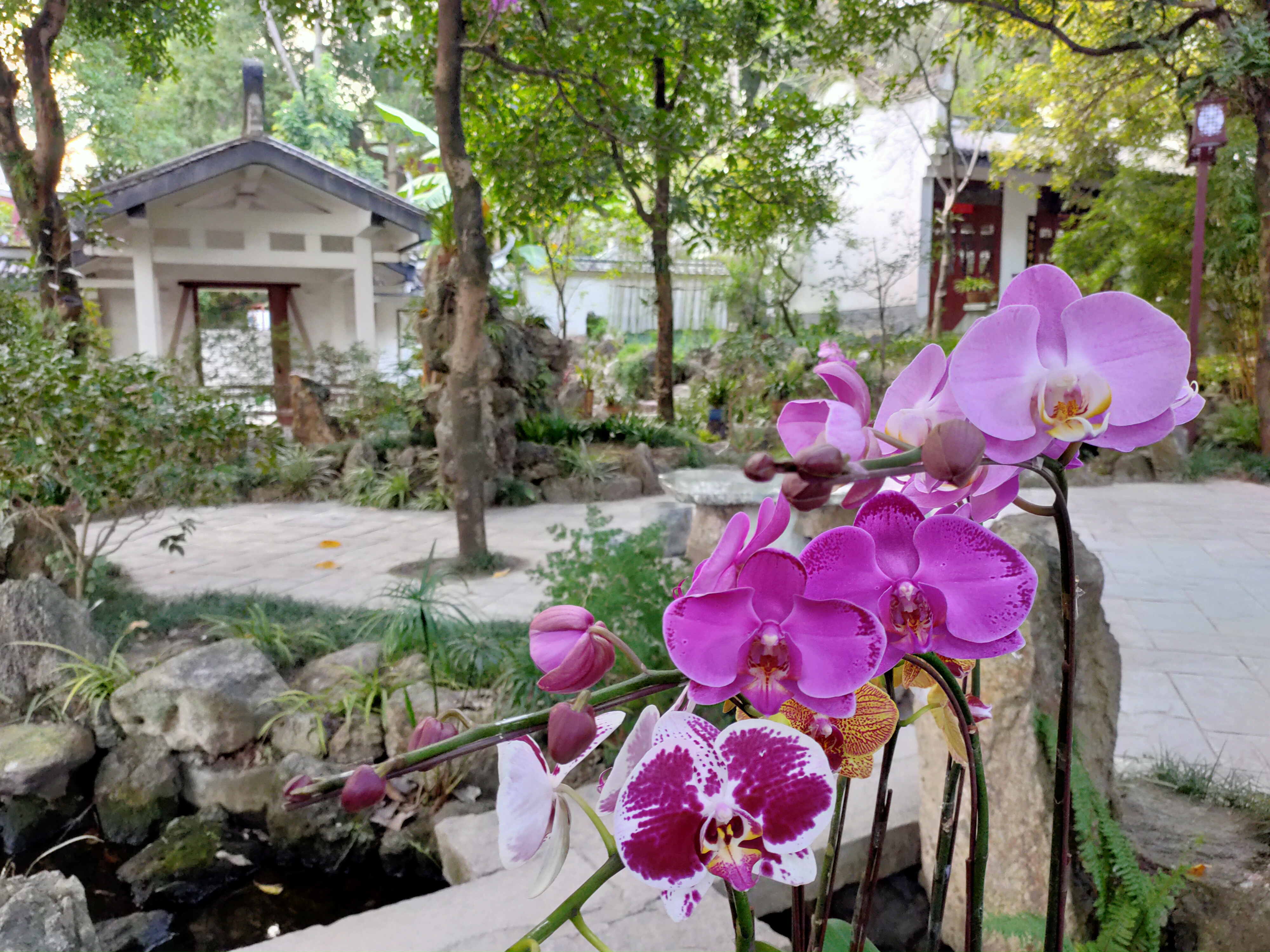 福州于山公园游览图,福州于山风景区好看吗