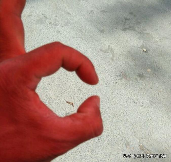 做果蔬批发要注意什么,果蔬批发好做还是零售好做