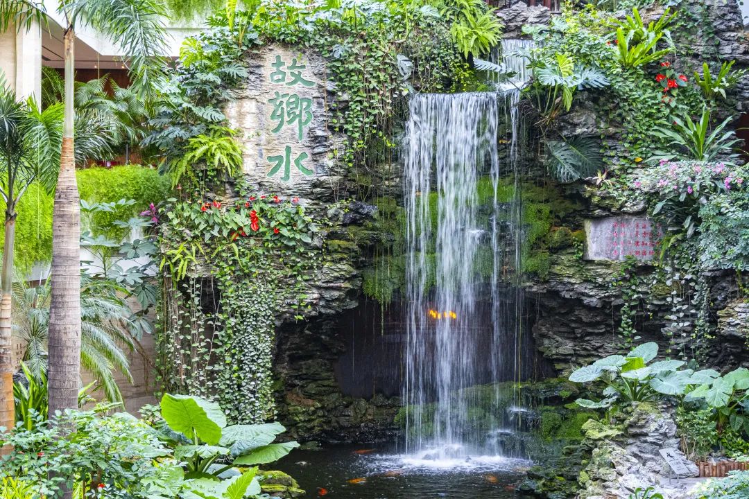 影响画面曝光的主要因素,如何通过曝光补偿控制画面亮度