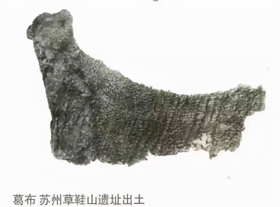 葛粉搭配什么最好吃,粉葛搭配什么食材煲汤好