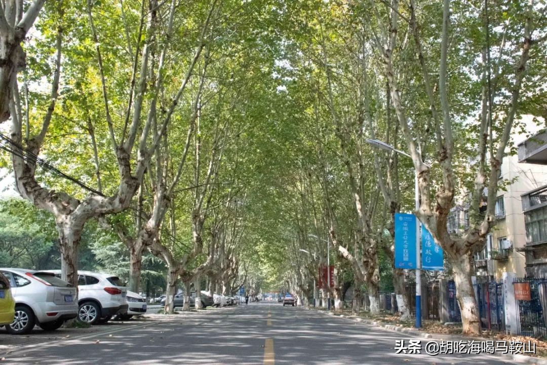 好吃的高逼格大学食堂,超好吃大学食堂