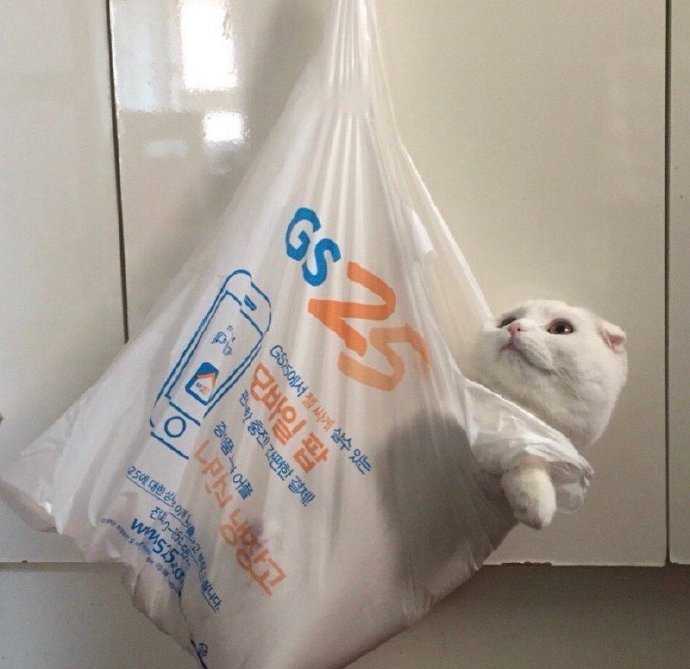 12条诙谐幽默的朋友圈文案,搞怪文案短句沙雕