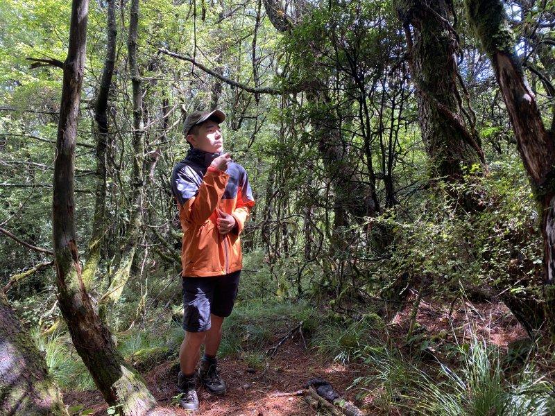 哥伦比亚冲锋衣测评可以上雪山吗,哥伦比亚冲锋衣绿色拼接