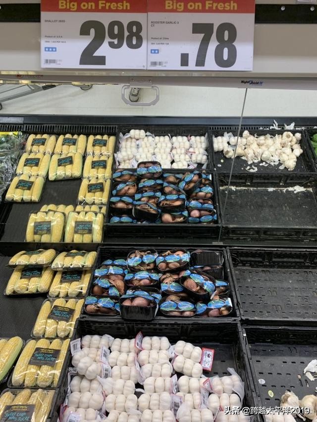 加拿大多伦多costco购物必买 (加拿大必买超市)