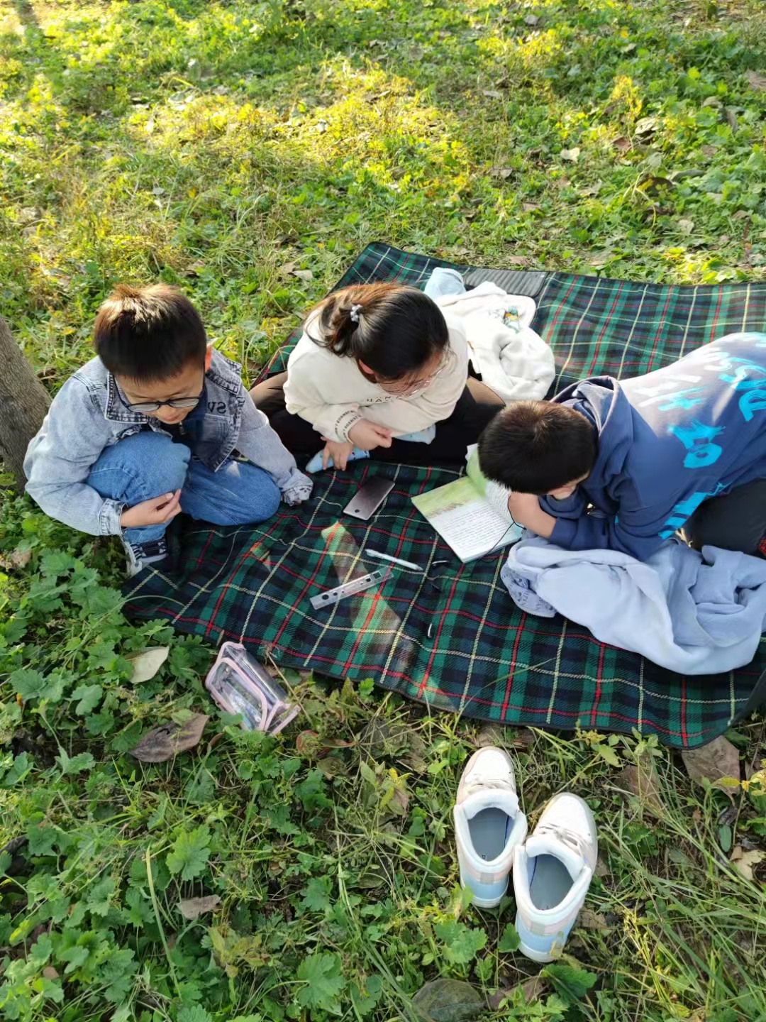 周末带孩子一起来体验采摘的乐趣,周末带孩子体验田园采摘的快乐