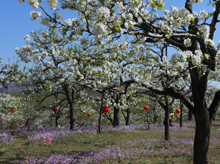唐山5A旅游景点推荐一日游,唐山市5a旅游景点