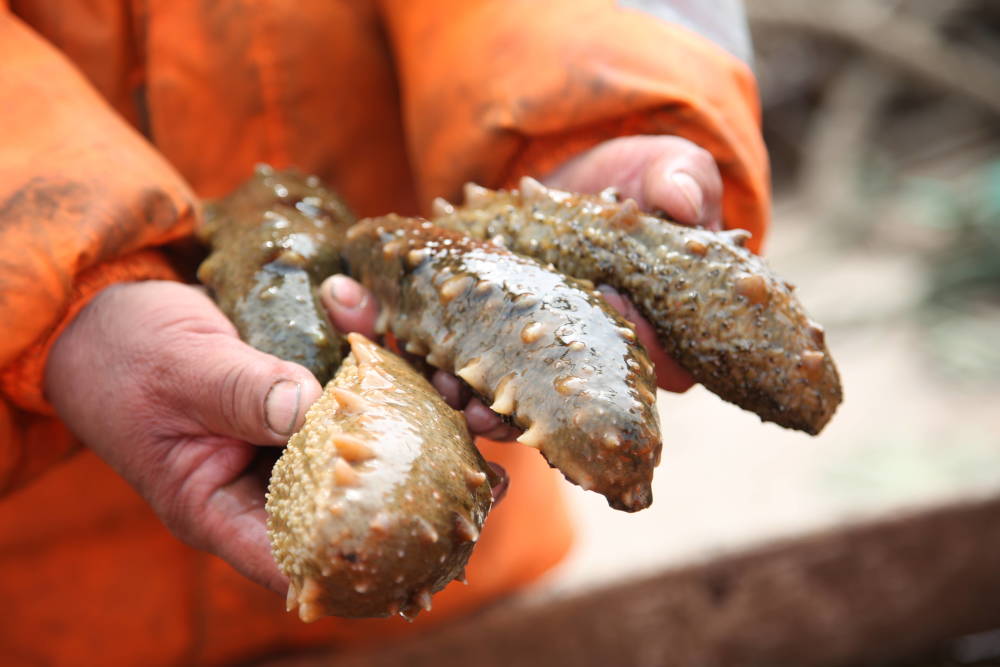 90后小伙年赚200万的绝招开超市,90后小伙开餐馆致富